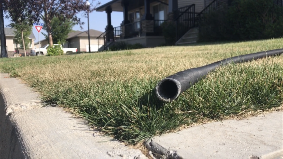 Roll flat hose
