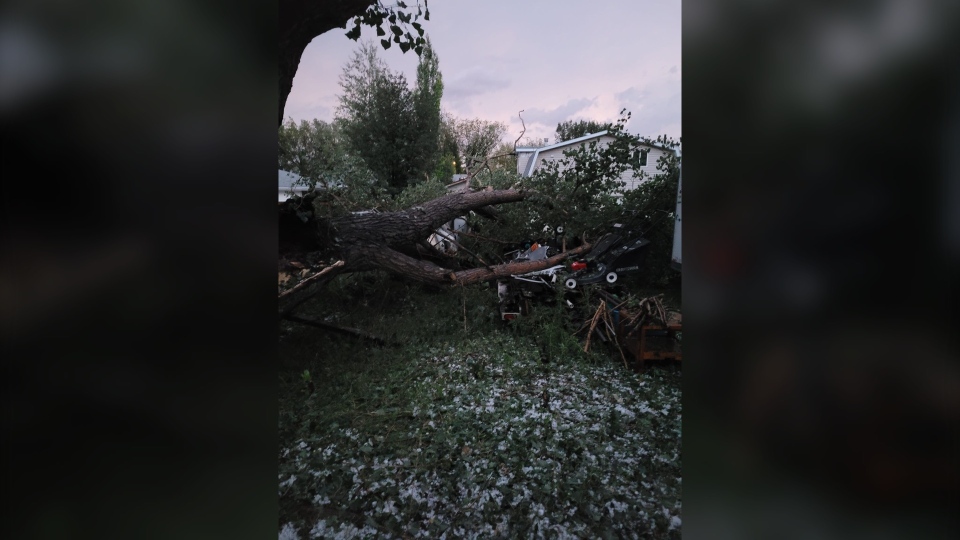 storm sask